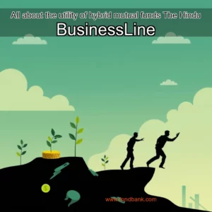 Read more about the article All about the utility of hybrid mutual funds  The Hindu BusinessLine