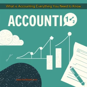 Read more about the article What is Accounting  Everything You Need to Know