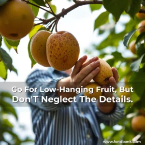 Read more about the article Go For Low-Hanging Fruit, But Don’T Neglect The Details.